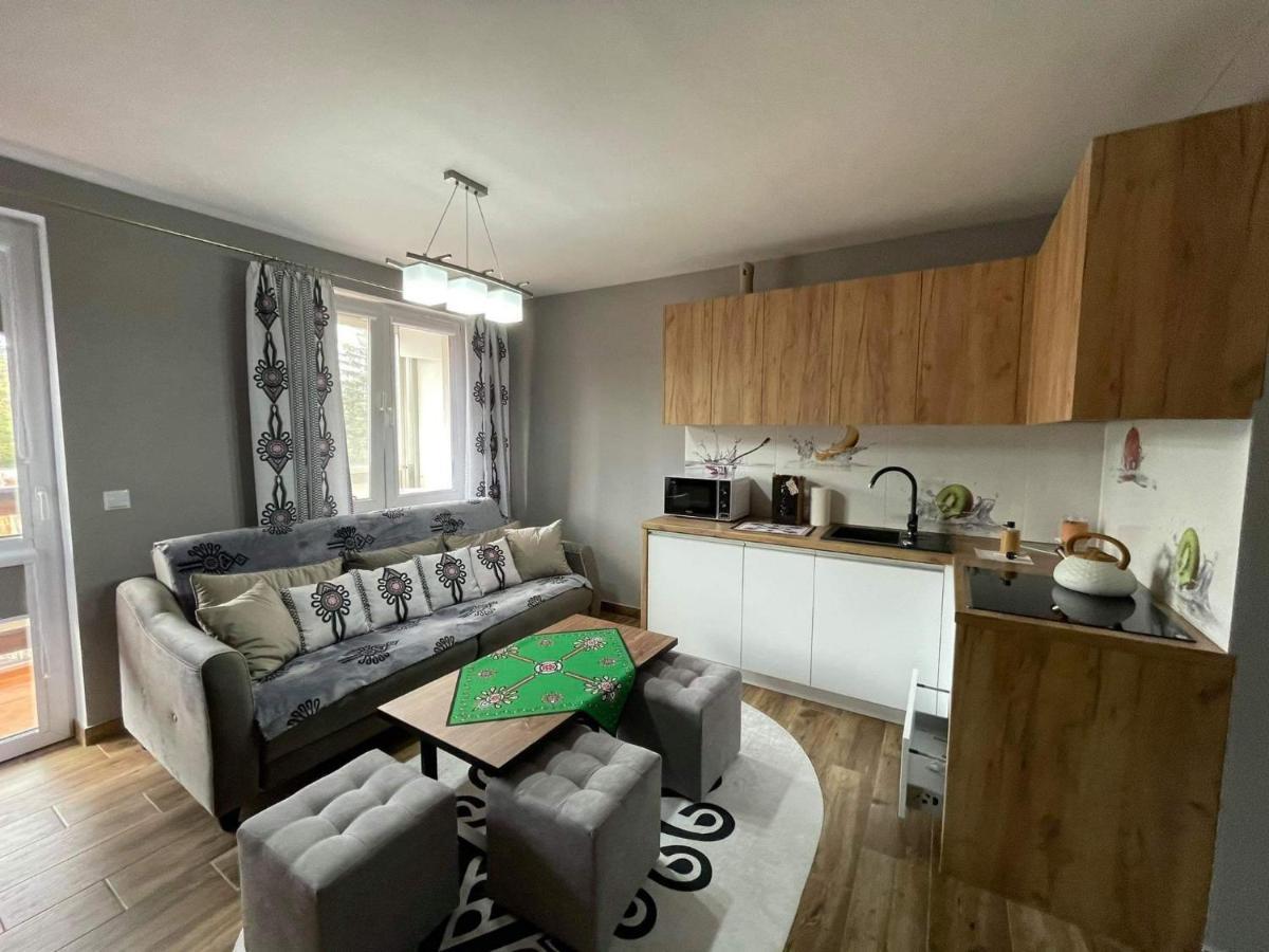 Apartamentylove - Apartament U Janicka, 100M Do Krupowek Zakopane Luaran gambar